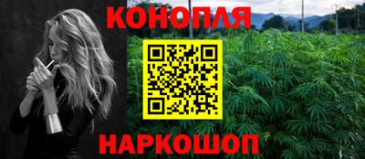 шишки Лесосибирск