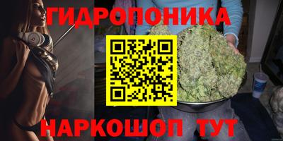 ГАЛЛЮЦИНОГЕННЫЕ ГРИБЫ Малгобек