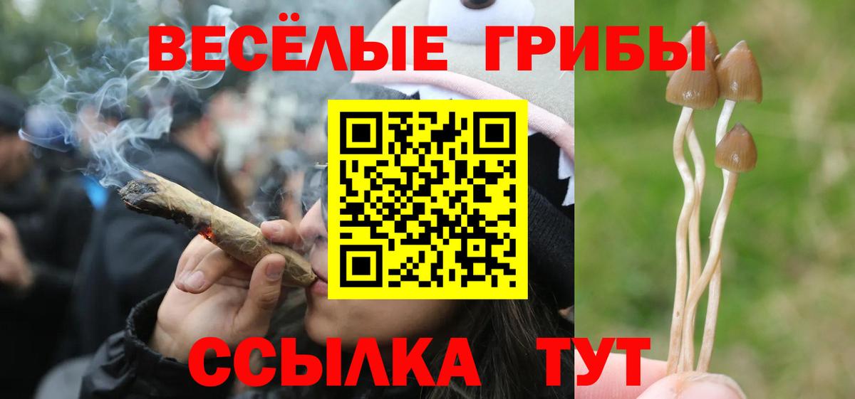 купить  сайты  Вход с VPN  Галлюциногенные грибы Magic Shrooms  Ивантеевка  Псилоцибиновые грибы ЛСД 